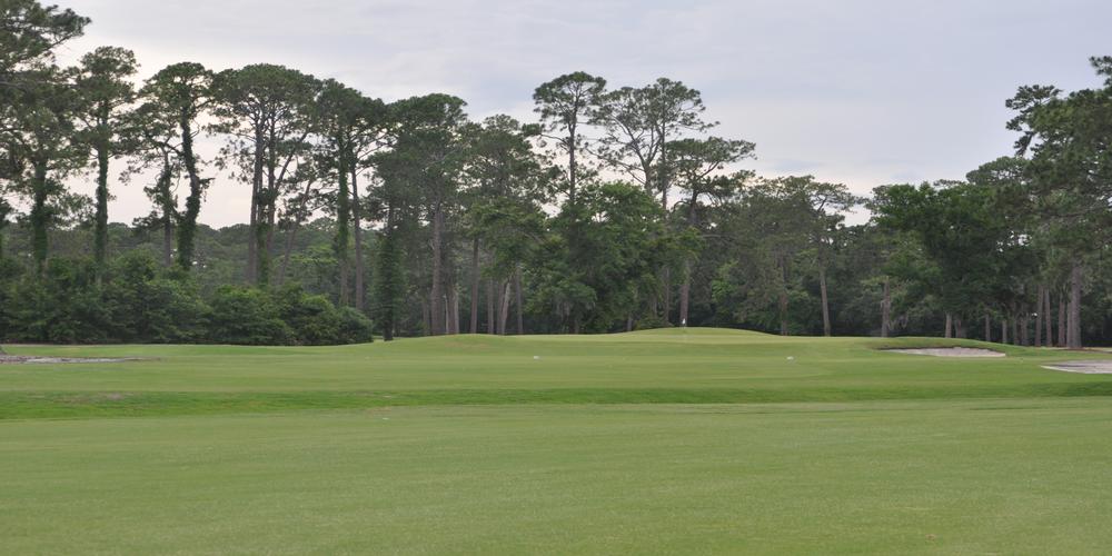 Number 8 Tee